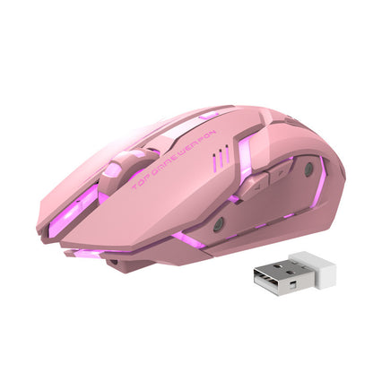 Wireless Silent Gaming Mouse
