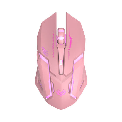 Wireless Silent Gaming Mouse